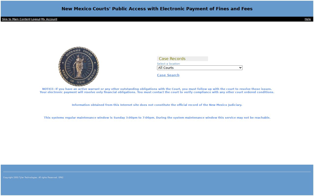 Guadalupe County criminal case lookup screen