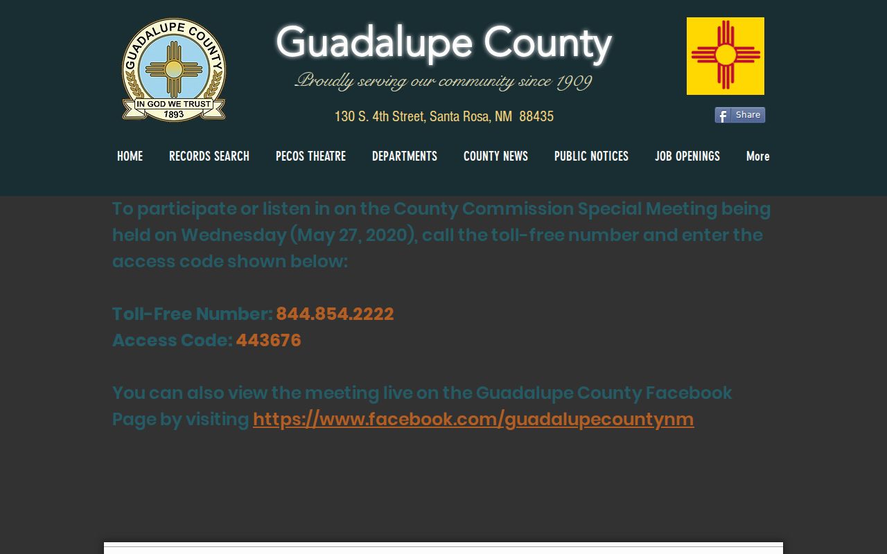 Guadalupe County criminal history sheriff records office